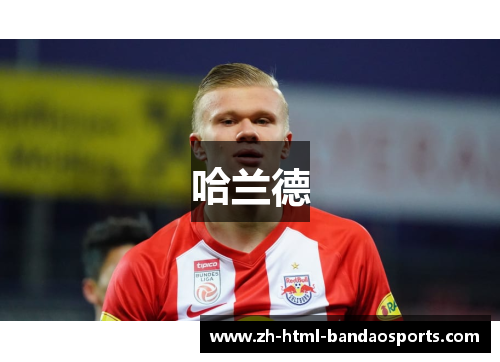 哈兰德